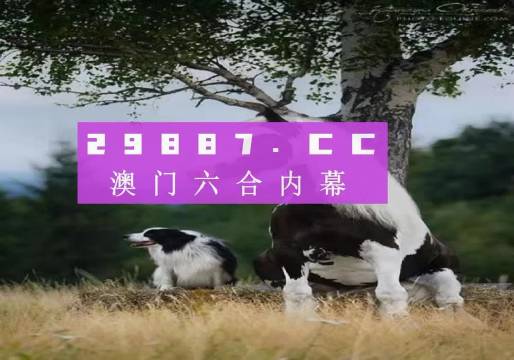2024高清跑狗图新版今天-全面释义解释落实