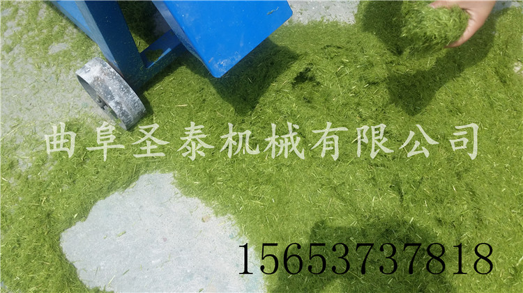 台军机最新进展，技术革新与地区安全动态分析