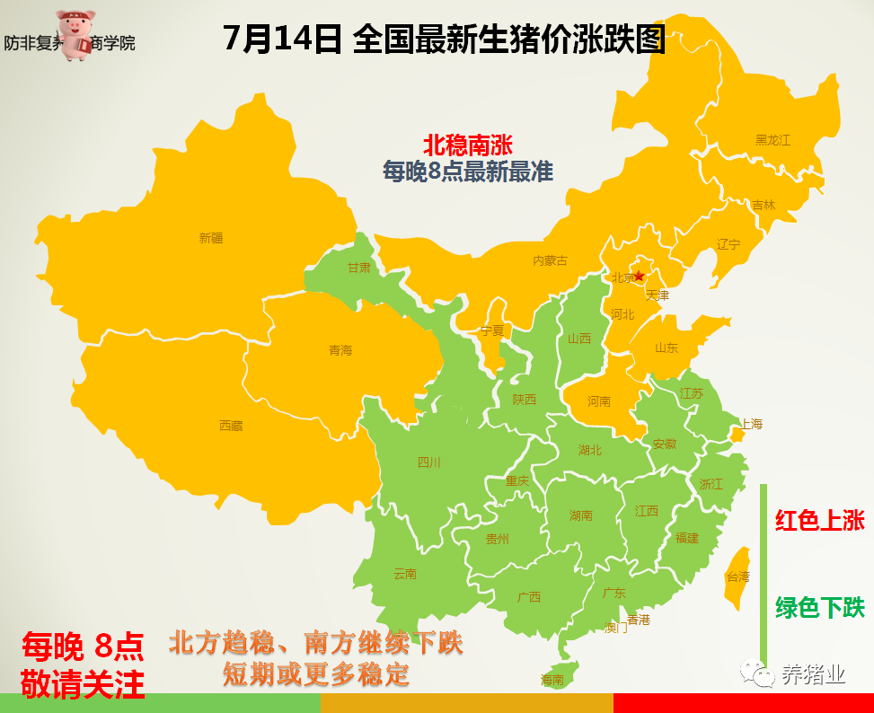 全国最新猪价动态，聚焦7月14日的行业变化