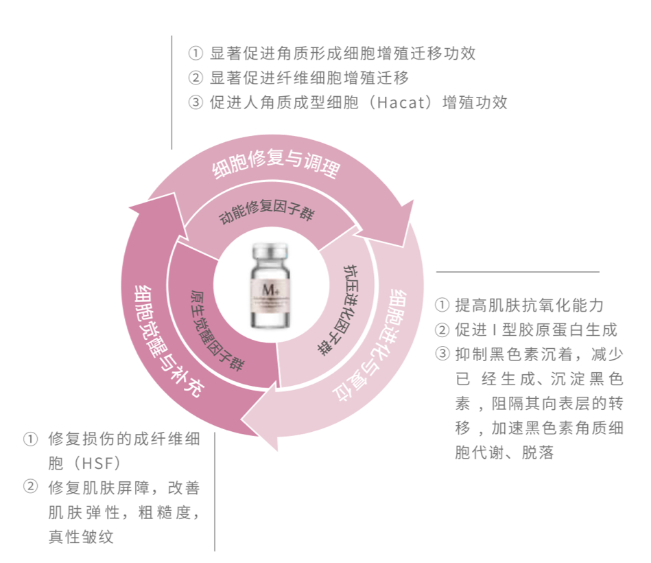 最新科学方法在抗衰老领域的应用与突破
