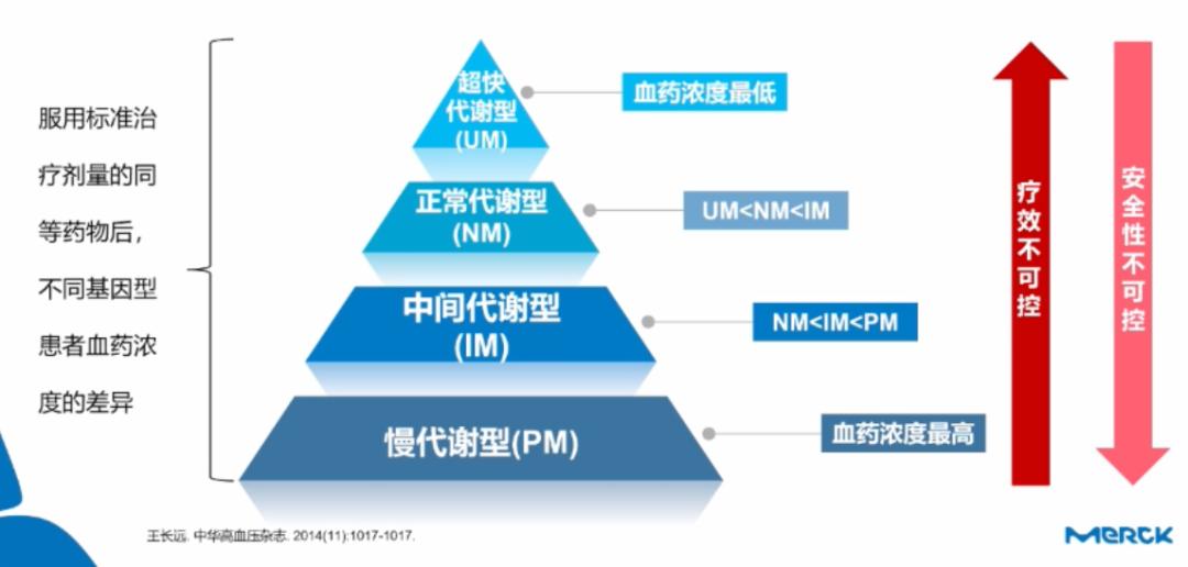探索最新版应用软件，革新、优化与挑战